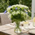 Dillblommande, konstgjorda örter, dekorativ växt grön, vit 49cm 9st | Floristik24.se
