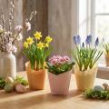 Planteringspapper vävt vanilj, orange, rosa Ø7cm H13cm 12 st | Floristik24.se