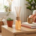 Rumsdoftspridare glas ingefära Camila doftpinnar 100ml | Floristik24.se