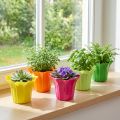 Planteringskärl för krukväxter, färgglada assorterade. Ø10,5cm 10 st | Floristik24.se