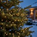 LED-risljuskedja 350 grön, varmvit för ute 7,5m | Floristik24.se