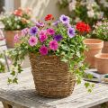 Planteringskorg i naturlig färg, Ø25 cm, H22,5 cm | Floristik24.se