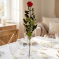 Infinity Rose med löv bevarade Amorosa Röd L54cm | Floristik24.se