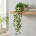 Echeveria konstgjorda hängande växter i grönt B12cm L50cm | Floristik24.se