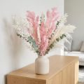 Torkad dekoration av rosa fjädersparris (Aspargus) 55-70cm | Floristik24.se