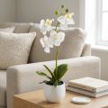 Vita orkidéer i kruka, konstgjorda Phalaenopsis, H33 cm | Floristik24.se