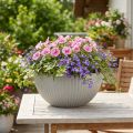 Blomkruka plast grå melerad skål med spår Ø30cm | Floristik24.se