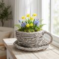 Tekopp tillverkad av naturmaterial med rustik charm för exklusiv inomhusdekoration 13 cm | Floristik24.se