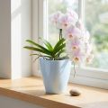 Orkidékruka blank Ø12,5cm vit 1 st | Floristik24.se