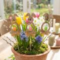 Påskhareträ, blomproppar påsk, kaninproppar 8,5 cm 12st | Floristik24.se