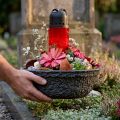 Oasis Svart Biolit Växtskål Blomskål Svart Ø26cm | Floristik24.se