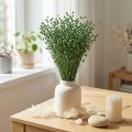 Torkat lingräs, grönt, 50-55 cm, dekorativt DIY | Floristik24.se