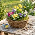 Naturlig blomskål, dekorativ skål med vinrankedesign, 31 cm, rustik, kruka | Floristik24.se