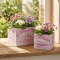Växtlåda med handtag rosa vitt trä 12/15cm set om 2 | Floristik24.se