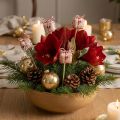 Blomplugg Julklappspaket dekoration 2,5cm 15 st | Floristik24.se