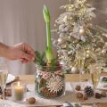 Dekorativ glasvas lykta glas klar Ø18cm H20cm | Floristik24.se