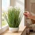 Dekorativt gräs med Cosmea-blommor i en skål H45cm | Floristik24.se