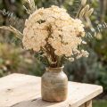 Konstgjorda rölleka-krämblommor Achillea 30 cm 6 st | Floristik24.se