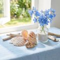 Skaldekoration sjösnigel natur 350g × 3st | Floristik24.se