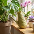 Vattenkanna för inomhusbruk, olivgrön, retrostil, 24,5 cm, 1,8 l, designad vattenkanna, plast, för växtbevattning | Floristik24.se
