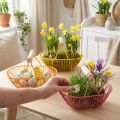 Trådkorg med trähandtag. Praktisk design. Perfekt för vårdekorationer, hem och kontor. 17 cm, 6 stycken. | Floristik24.se