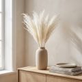 Torkade blommor, silvergräs. Elegant naturlig dekoration för hem och kontor. 70 cm, 10 stycken. | Floristik24.se
