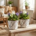 Dekorativ kruka vitnad björkkruka Ø18cm H15cm 2st | Floristik24.se