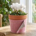 Filtband, krukband tvåfärgat gammelrosa/grå 15cm 5m | Floristik24.se