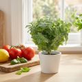 Mint konstgrön 25cm 12 st | Floristik24.se