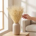 Torkat gräslin torkat naturligt blekt 50-55 cm 180 g | Floristik24.se