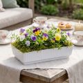 Uttagsskål Lara 15cm x 8cm x 4cm 10st | Floristik24.se