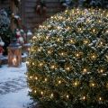 LED-ljusnät 384 varmvitt 3m x 3m för utomhusbruk | Floristik24.se