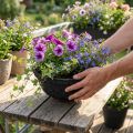 Biolit planteringsskål svart Ø35cm miljövänlig blomskål | Floristik24.se