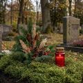 Dekorativ mossatorkad skogsmossagrön naturlig dekoration 300g | Floristik24.se