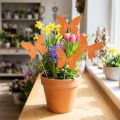 Butterfly träblomplugg färgad 9cm/29cm 12st | Floristik24.se