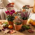 Blompinne Flugsvamp Dekoration Igelkott Höstdekoration 8cm 12 st | Floristik24.se