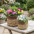 Flätad korg Naturlig flätad växtskål Naturlig L30/22cm H20/17cm Set med 2 | Floristik24.se