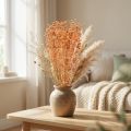 Dekorativa lin torkade blommor aprikos naturliga 80g boho dekoration | Floristik24.se