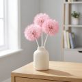 Jättestor torkad maskrosdekoration, elegant heminredningsaccessoar, 12 cm, 4 stycken | Floristik24.se