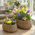 Växtkorg med handtag korg blomsterkorg L23/35cm set om 2 | Floristik24.se