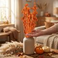 Torkade blommor torr tistel jordgubbstistel apelsin 100g | Floristik24.se