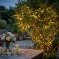 LED-risljuskedja 360 27m varmvit för ute/inne | Floristik24.se