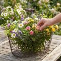 Trådkorg oval med handtag 27x16,5cm H13,5cm brun | Floristik24.se