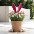 Kanin dekorativa öron rosa för påsk flockade pinne H56cm | Floristik24.se