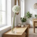 Dekorativ blomma Allium, konstgjord kul purjolök, prydnadslök vit Ø20cm L72cm | Floristik24.se