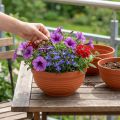 R-skål plast terrakotta Ø19cm, 10 st | Floristik24.se