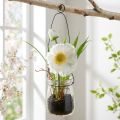Vallmo i ett glas för att hänga vit H22cm | Floristik24.se