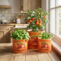 Tomatkrukaset, dekorativa blomkrukor i keramik för kök och retrodekor, 14 cm, set om 3 | Floristik24.se