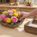 Oasis Biolit Basic Blomskum 13x13x2cm 12-delars set Blomdekoration DIY | Floristik24.se