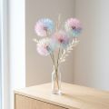 Maskrosdekoration, torkad blomma, stabiliserad och färgad, delikat, hållbar, 12 cm, 4 stycken | Floristik24.se